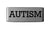 Autism Badge